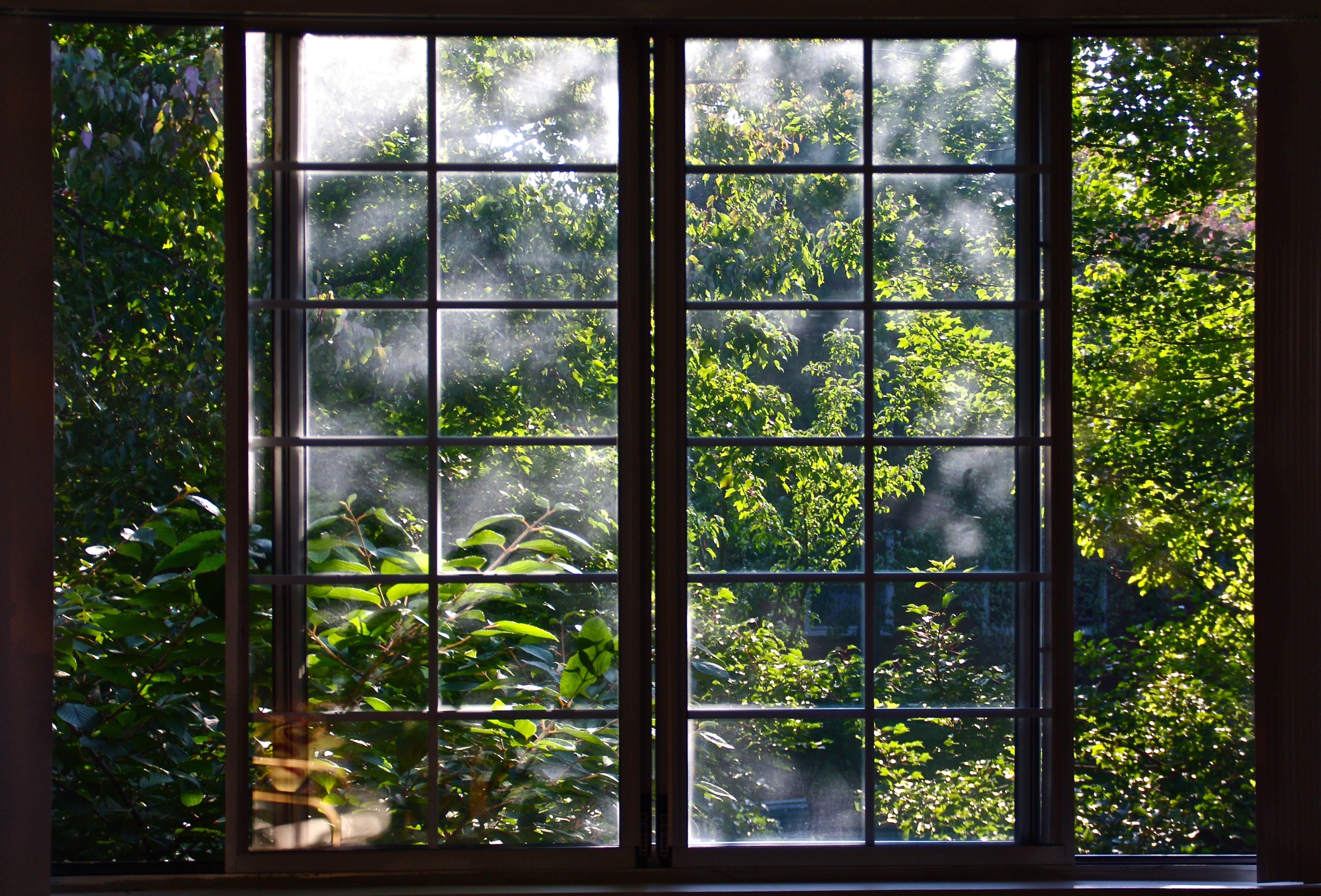 Iz okna. Окно в природу. Природа за окном. Вид из окна на лес. Красивый вид из окна.